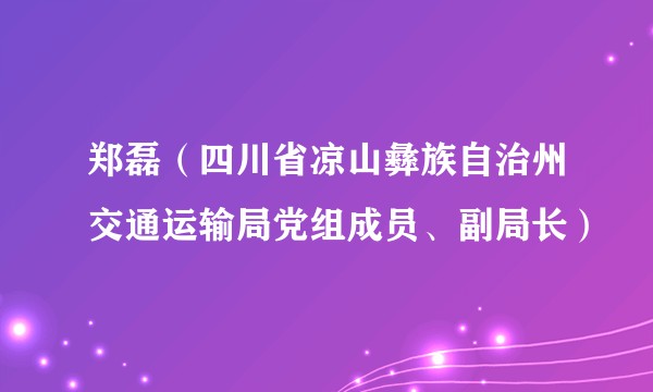 郑磊（四川省凉山彝族自治州交通运输局党组成员、副局长）
