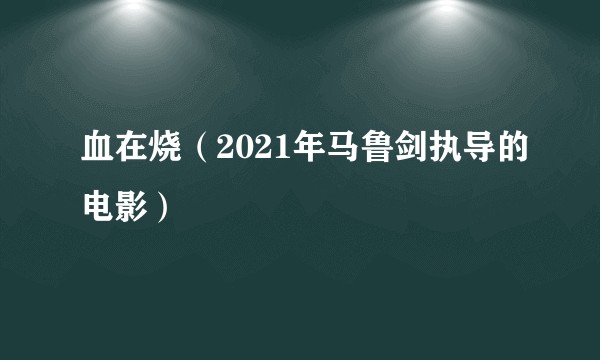血在烧（2021年马鲁剑执导的电影）