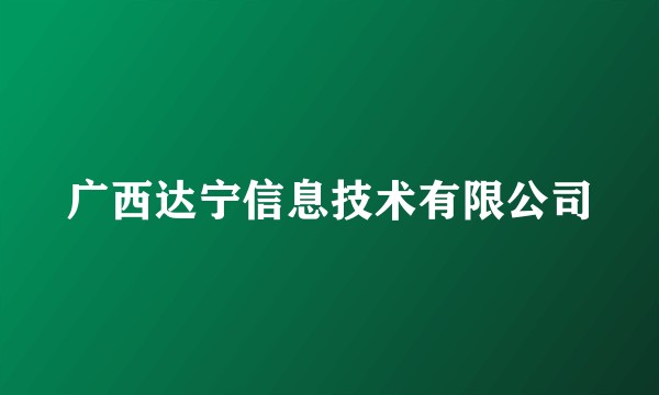 广西达宁信息技术有限公司