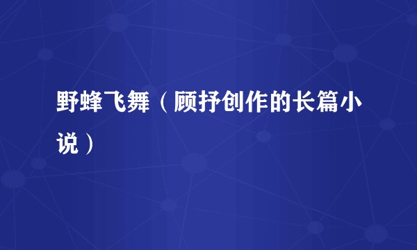 野蜂飞舞（顾抒创作的长篇小说）