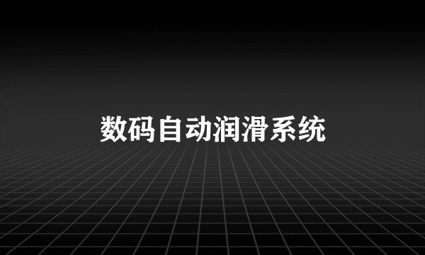 数码自动润滑系统