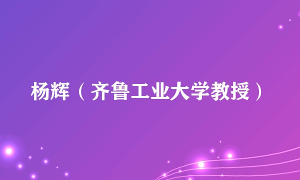 杨辉（齐鲁工业大学教授）