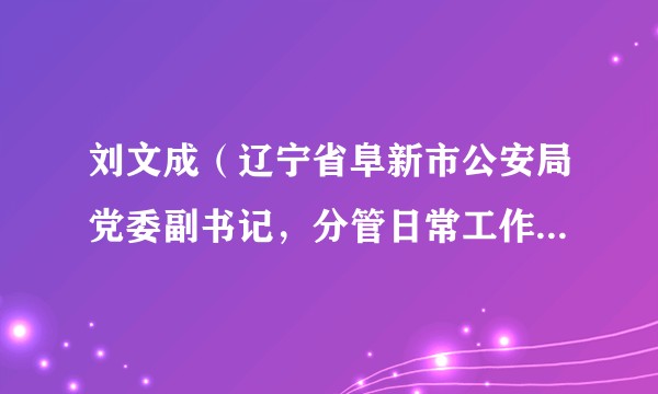 刘文成（辽宁省阜新市公安局党委副书记，分管日常工作的副局长）
