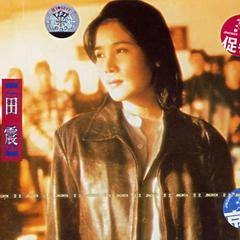 执着（1996年田震演唱的歌曲）