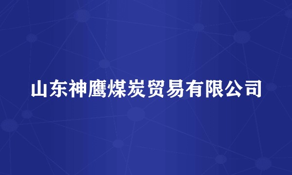 山东神鹰煤炭贸易有限公司