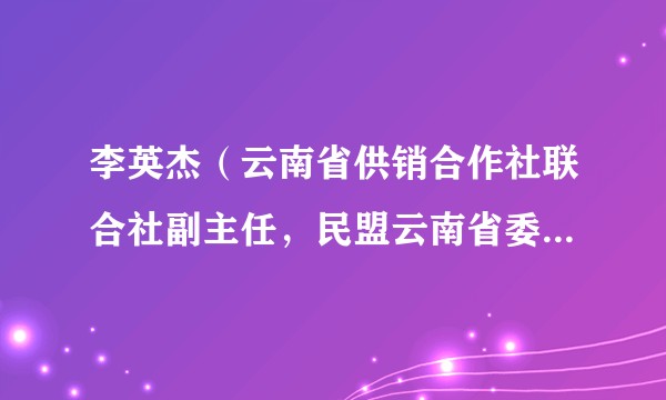 李英杰(云南省供销合作社联合社副主任,民盟云南省委副主委)