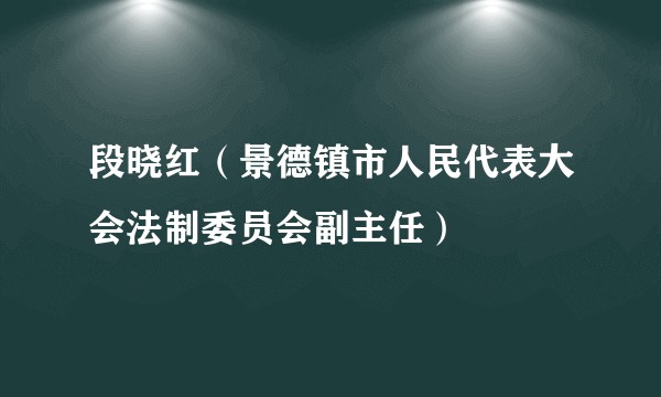 段晓红（景德镇市人民代表大会法制委员会副主任）