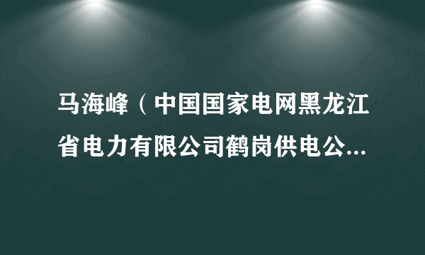 马海峰（中国国家电网黑龙江省电力有限公司鹤岗供电公司变电检修中心主任）