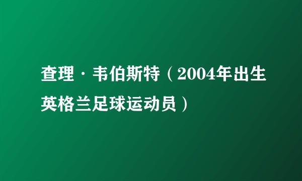 查理·韦伯斯特（2004年出生英格兰足球运动员）