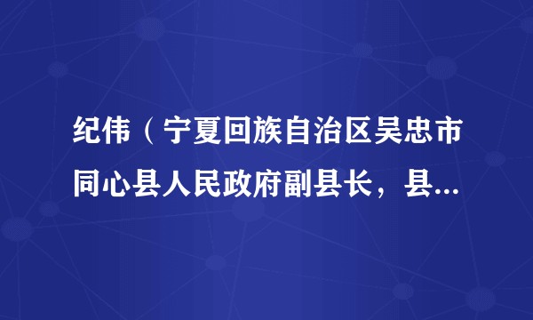 纪伟(宁夏回族自治区吴忠市同心县人民政府副县长,县公安局局长)