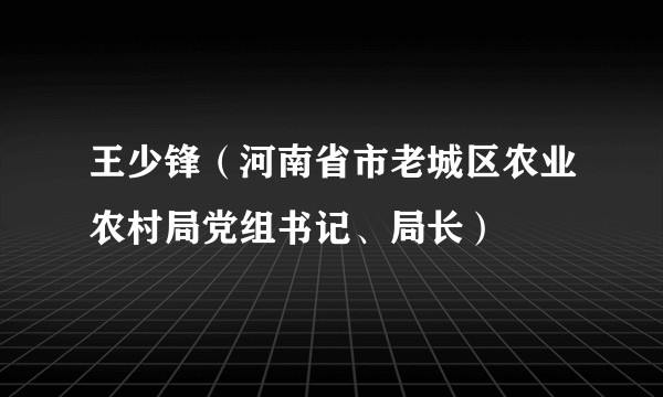 王少锋（河南省市老城区农业农村局党组书记、局长）