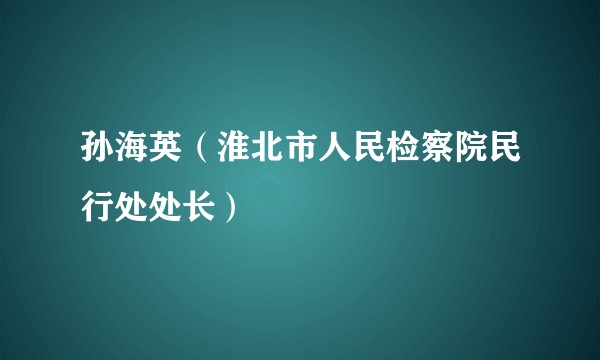孙海英（淮北市人民检察院民行处处长）
