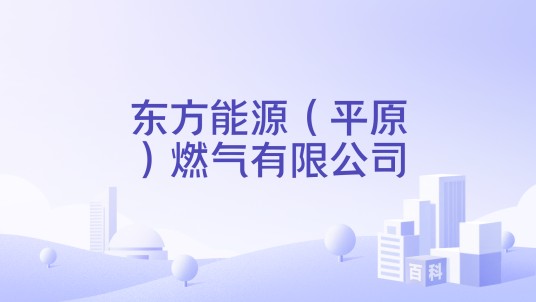 东方能源（平原）燃气有限公司