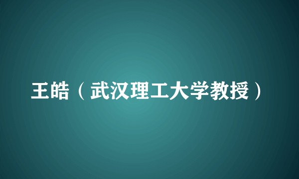 王皓（武汉理工大学教授）