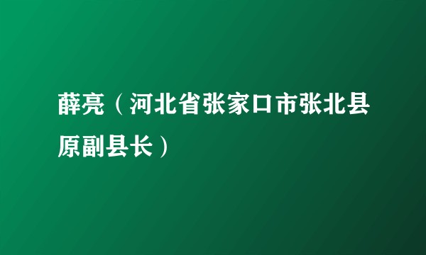 薛亮（河北省张家口市张北县原副县长）