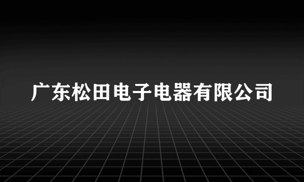 广东松田电子电器有限公司