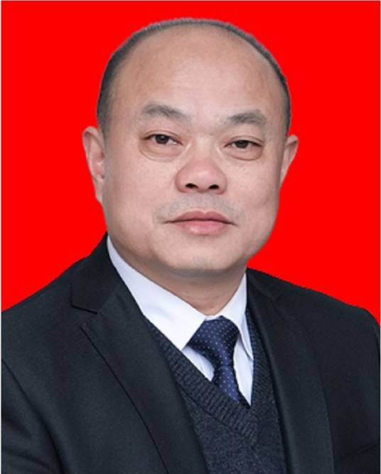 王军华（湖南省桃江县人大常委会党组副书记，县人大常委会副主任）