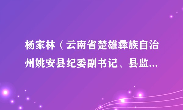 杨家林（云南省楚雄彝族自治州姚安县纪委副书记、县监委副主任、县行政学校副校长）