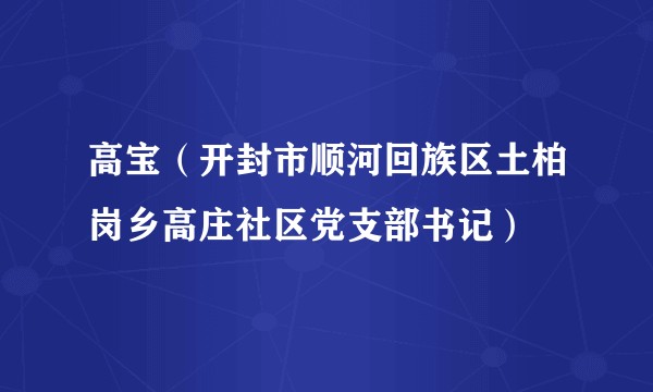 高宝（开封市顺河回族区土柏岗乡高庄社区党支部书记）