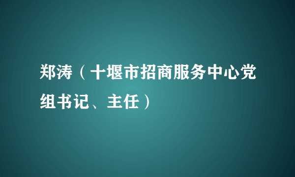 郑涛(十堰市招商服务中心党组书记、主任)