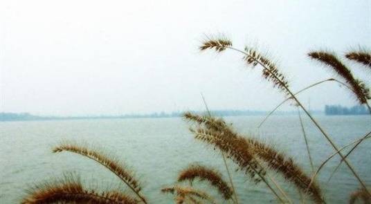 岳阳南湖