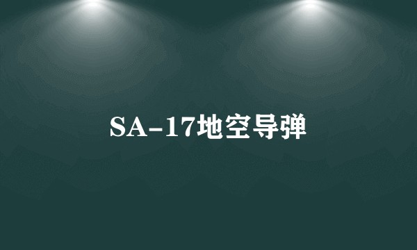 SA-17地空导弹