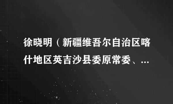 徐晓明（新疆维吾尔自治区喀什地区英吉沙县委原常委、组织部长）