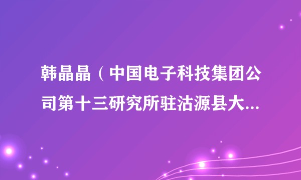 韩晶晶(中国电子科技集团公司第十三研究所驻沽源县大元房子村工作队员)