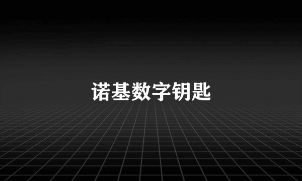 诺基数字钥匙