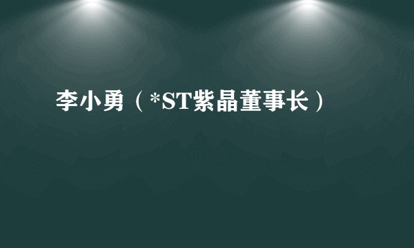 李小勇（*ST紫晶董事长）