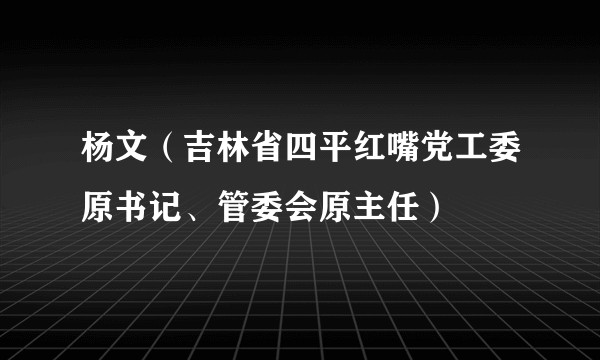 杨文(吉林省四平红嘴党工委原书记、管委会原主任)