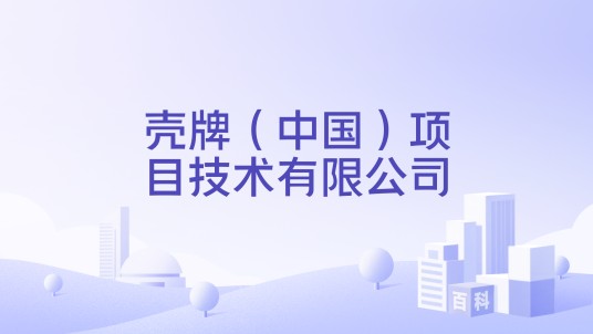壳牌（中国）项目技术有限公司