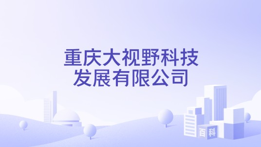 重庆大视野科技发展有限公司