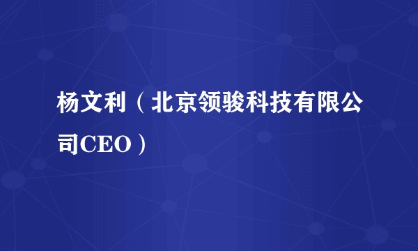杨文利（北京领骏科技有限公司CEO）