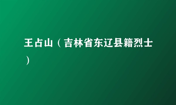 王占山（吉林省东辽县籍烈士）