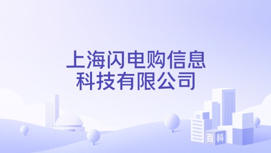 上海闪电购信息科技有限公司