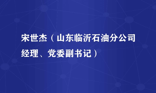 宋世杰（山东临沂石油分公司经理、党委副书记）