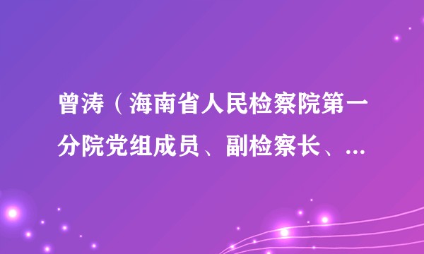 曾涛（海南省人民检察院第一分院党组成员、副检察长、检察委员会委员、二级高级检察官）