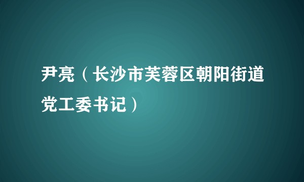尹亮（长沙市芙蓉区朝阳街道党工委书记）