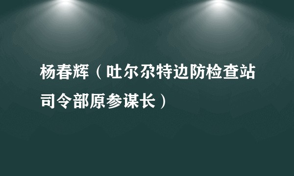杨春辉（吐尔尕特边防检查站司令部原参谋长）