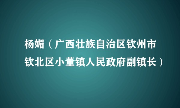 杨媚（广西壮族自治区钦州市钦北区小董镇人民政府副镇长）