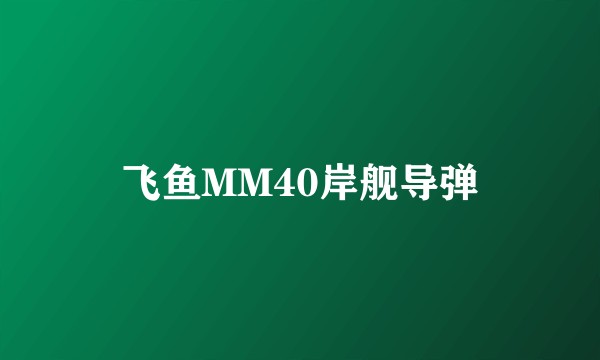 飞鱼MM40岸舰导弹
