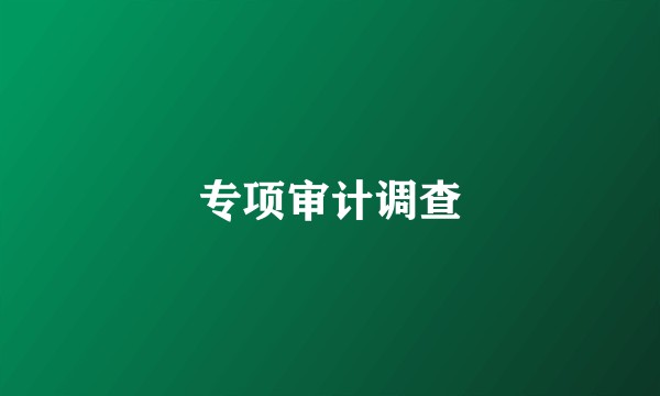 专项审计调查