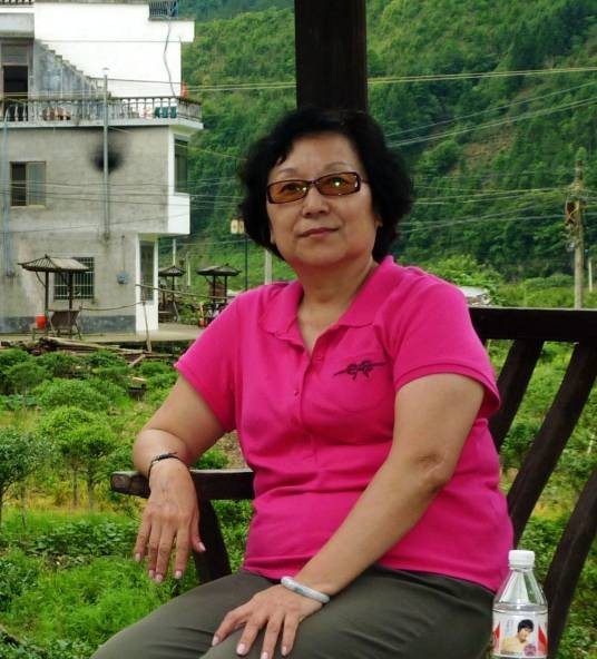 杨燕(中国传媒大学教授)