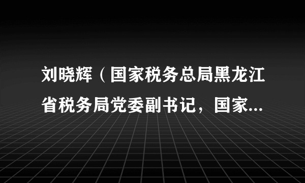 刘晓辉（国家税务总局黑龙江省税务局党委副书记，国家税务总局哈尔滨市税务局党委书记、局长）