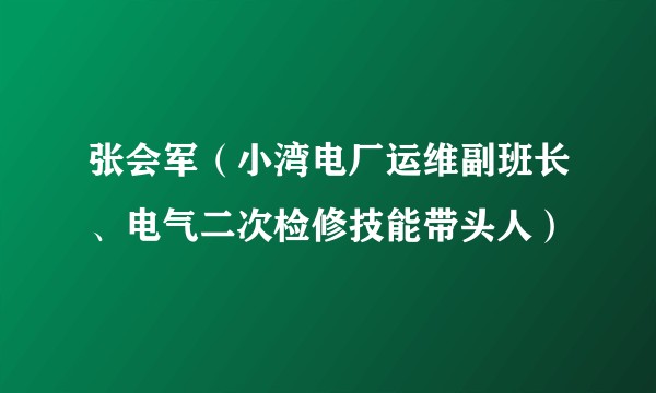 张会军(小湾电厂运维副班长、电气二次检修技能带头人)