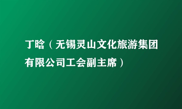 丁晗(无锡灵山文化旅游集团有限公司工会副主席)