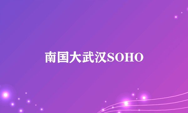 南国大武汉SOHO