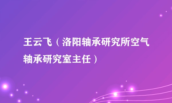 王云飞（洛阳轴承研究所空气轴承研究室主任）