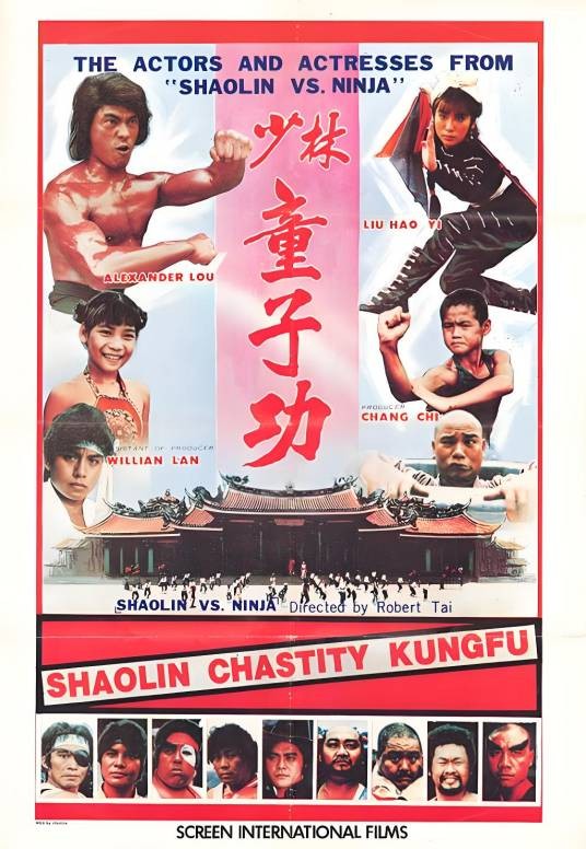 少林童子功（1981年的台湾电影）